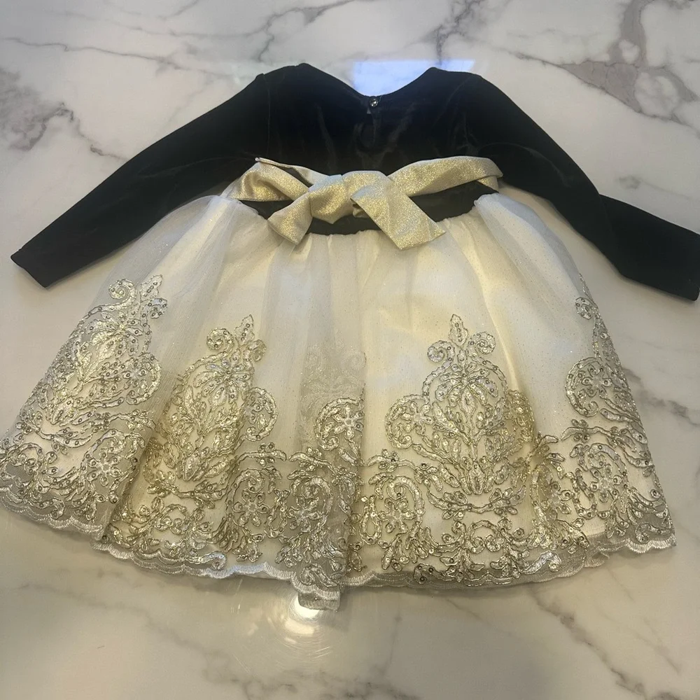 Rare Editions Black Velvet Dress with Gold Embroidery